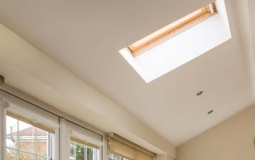Craig Llangiwg conservatory roof insulation companies