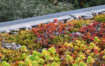 the cost of Craig Llangiwg green roof installation
