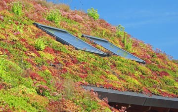 Craig Llangiwg living roof systems